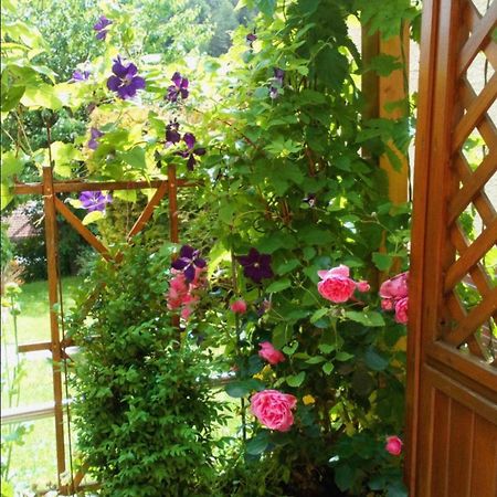Apartment Mit Gartenblick Eckersdorf Ngoại thất bức ảnh