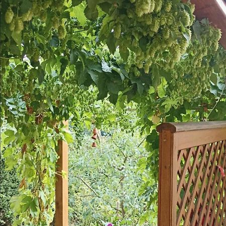 Apartment Mit Gartenblick Eckersdorf Ngoại thất bức ảnh