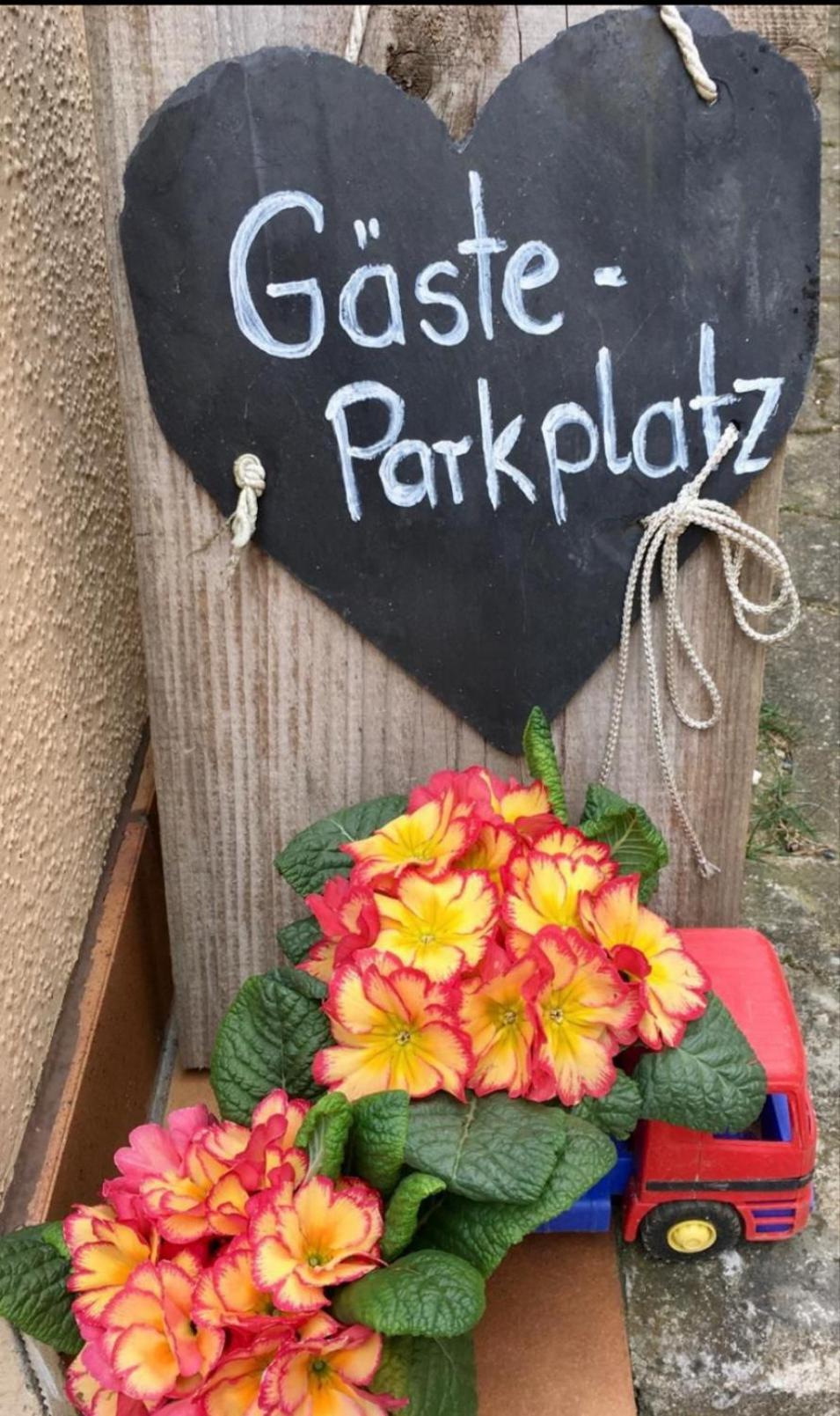 Apartment Mit Gartenblick Eckersdorf Ngoại thất bức ảnh